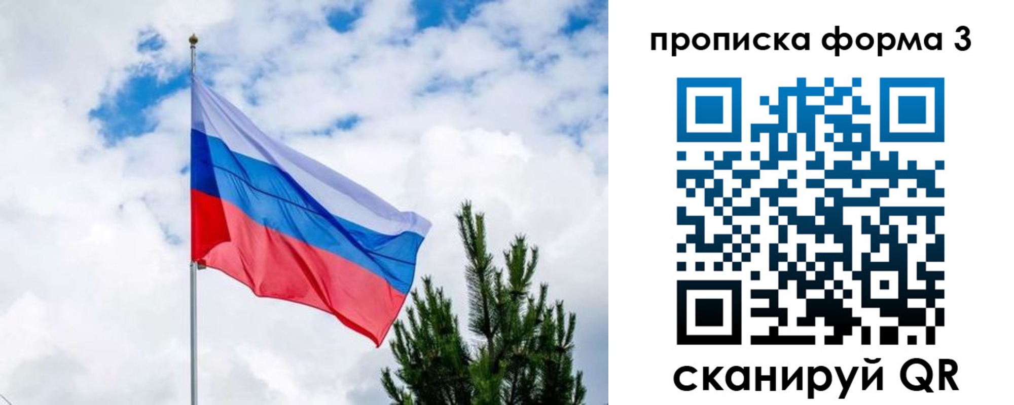 прописка для школы в Арамили